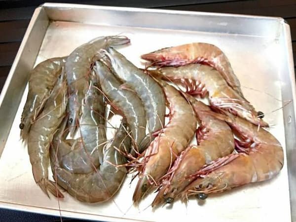 تصویر 1 از قیمت خرید میگو سایز ۳۰ + فروش ویژه